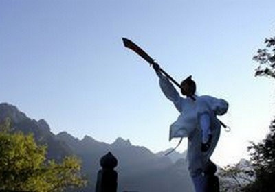 武术